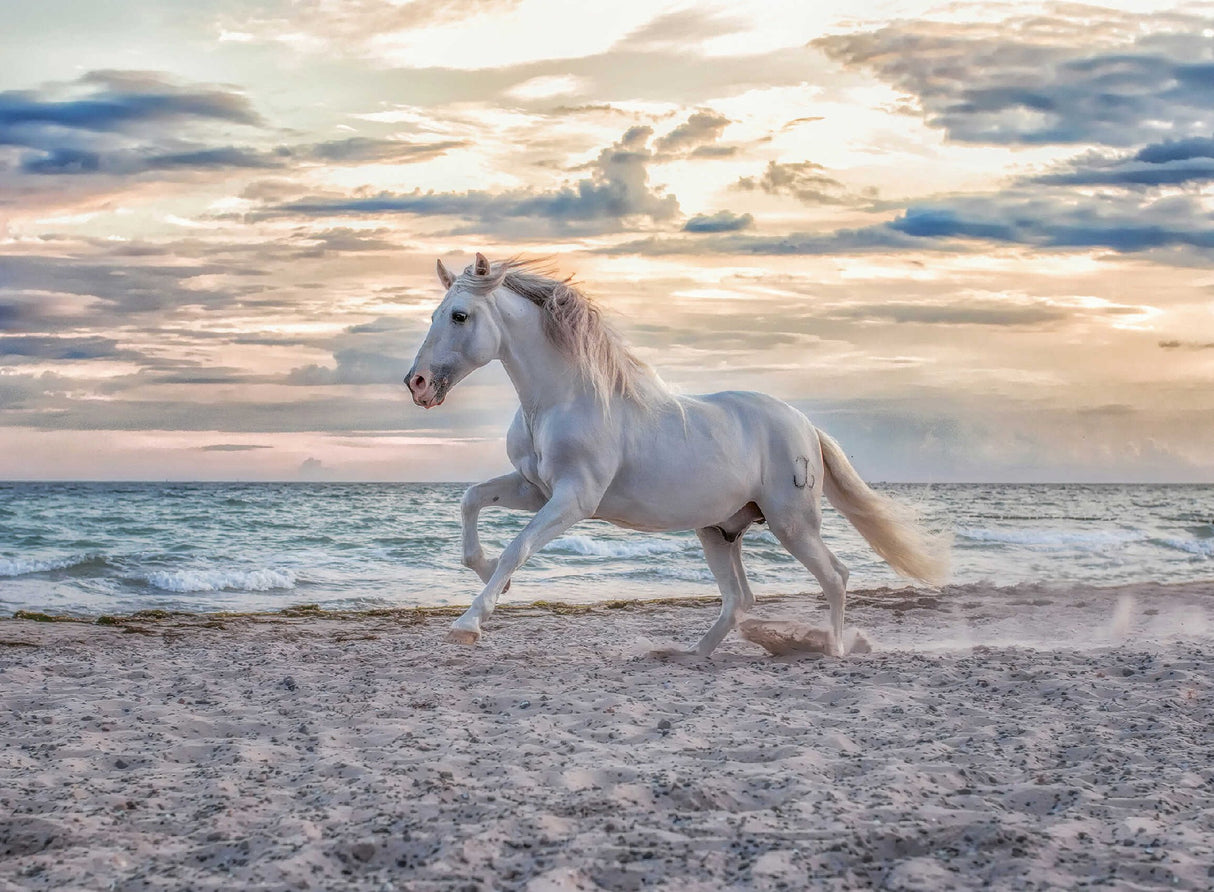 Ravensburger Evening Gallop Puzzle 500 Piece