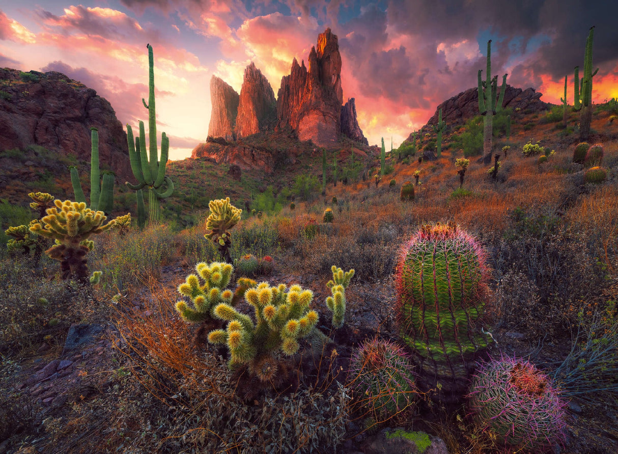 Ravensburger Cactus 500 Piece