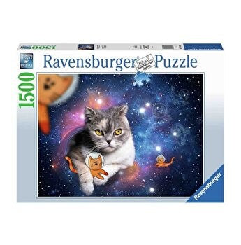 RBURG - CATS FLYING TO OUTTA SPACE 1500PC