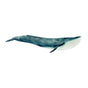 SCHLEICH - BLUE WHALE 