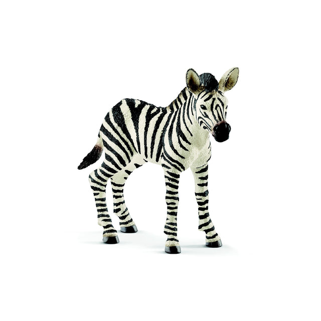 SCHLEICH - ZEBRA FOAL 