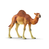 Schleich Dromedary