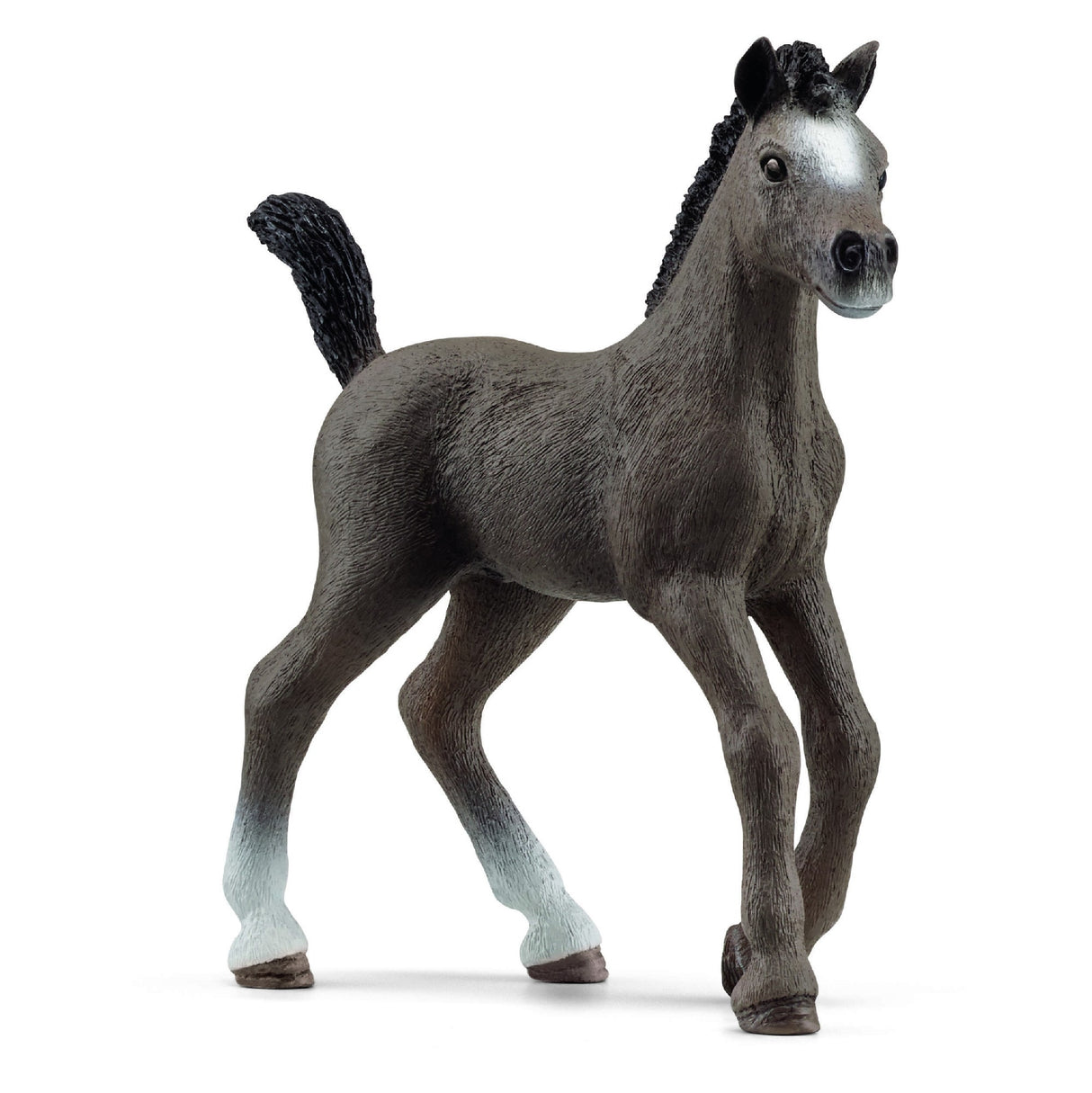 Schleich - Selle Francais Foal