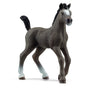 Schleich - Selle Francais Foal