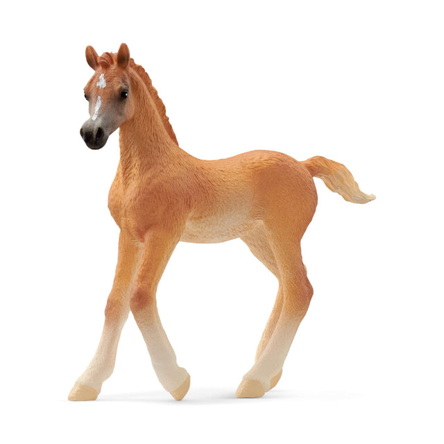 Schleich - Arab foal