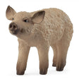 Schleich - Mangalica Piglet