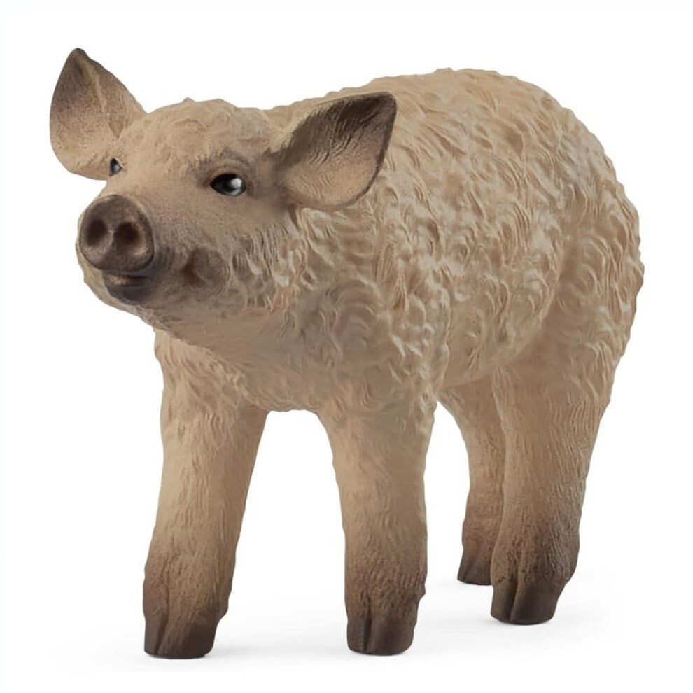 Schleich - Mangalica Piglet