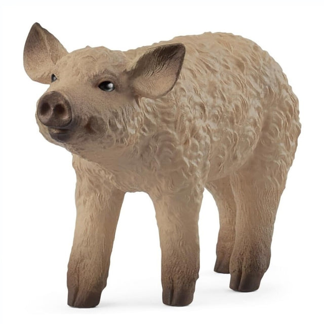Schleich - Mangalica Piglet