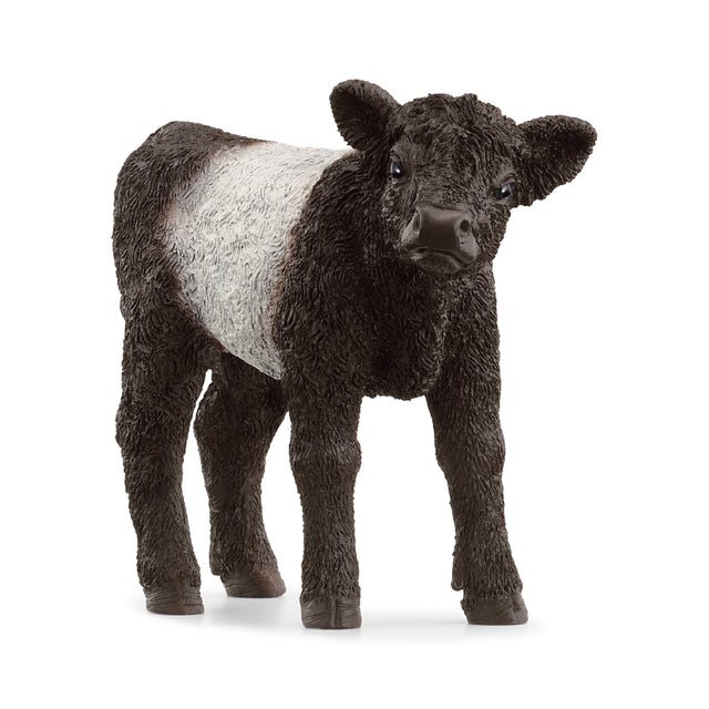 Schleich - Galloway Calf