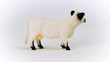 Schleich Galloway Cow