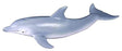 COLLECTA 88042 BOTTLENOSE DOLPHIN