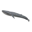 COLLECTA 88834 BLUE WHALE