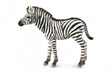 COLLECTA 88850 ZEBRA FOAL