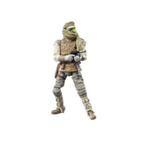Star Wars the Vintage Collection Luke Skywalker (Hoth) Toy  3.75-Inch-Scale Star Wars: the Empire Strikes Back Figure