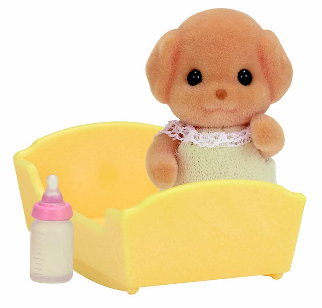 Sf - Toy Poodle Baby