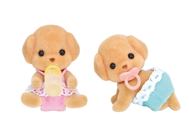 Sf - Toy Poodle Twins