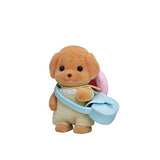 Sf - Toy Poodle Puppy (v2)