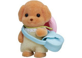 Sf - Toy Poodle Puppy (v2)