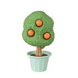 Sf - Citrus Bird Family