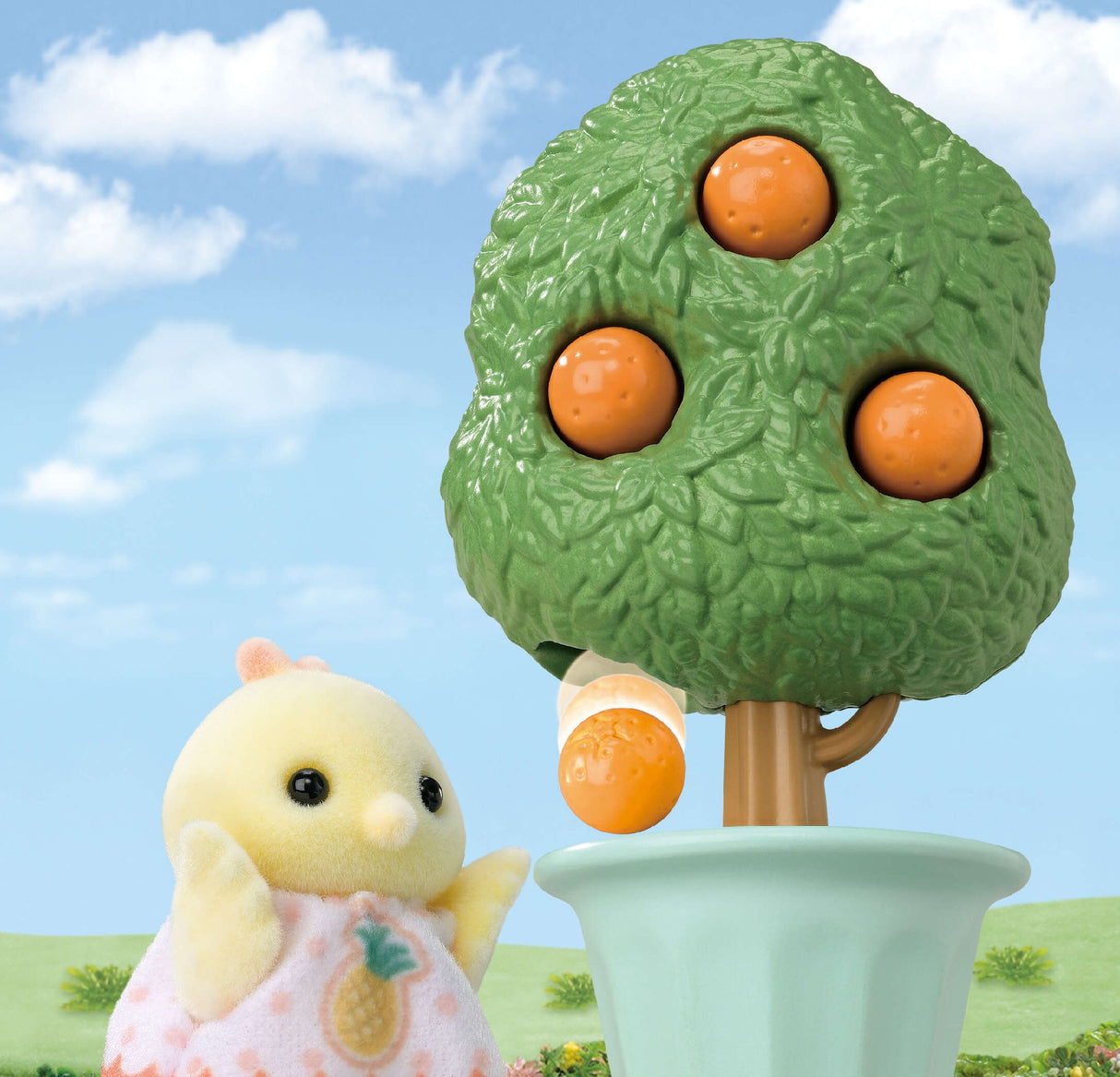 Sf - Citrus Bird Family