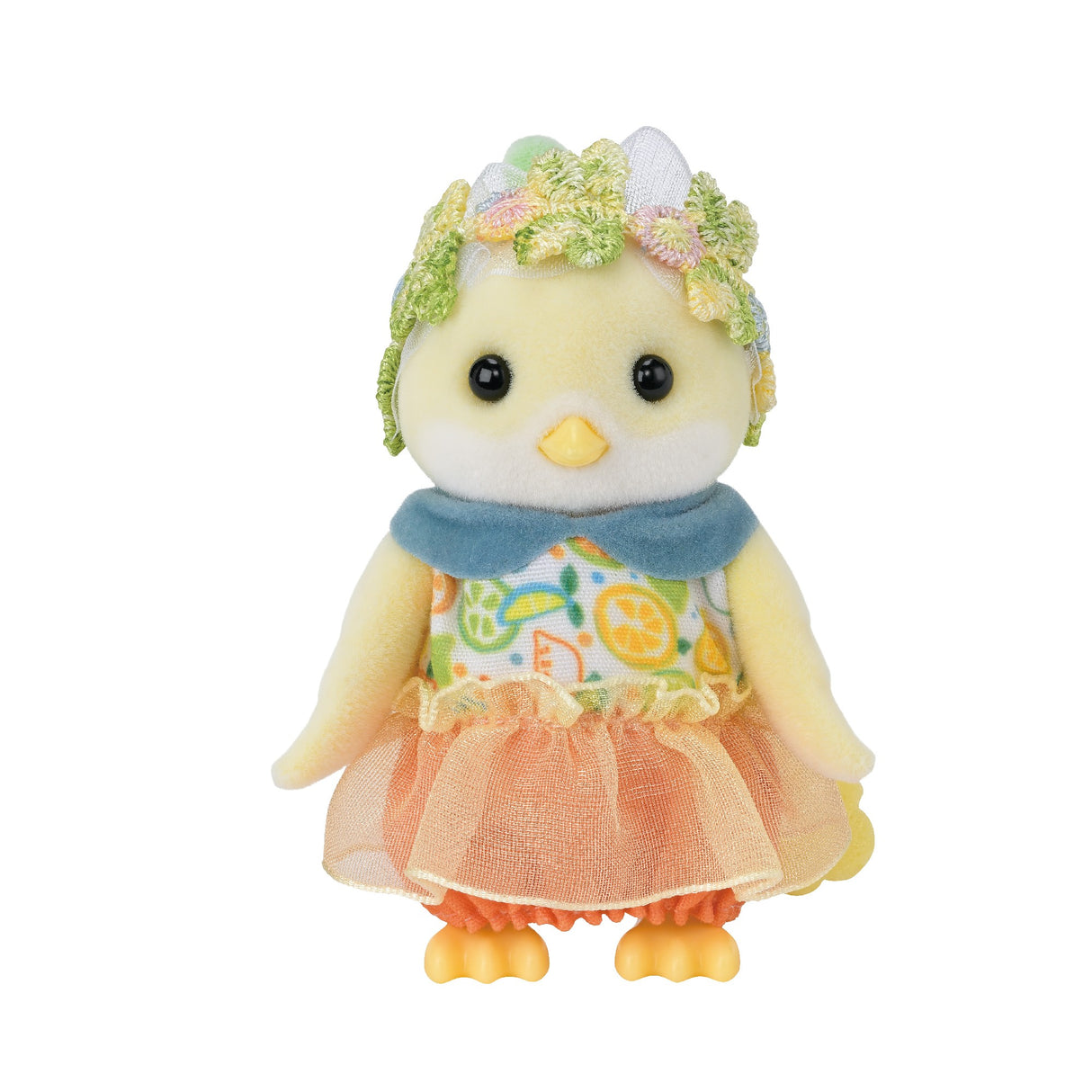 Sf - Citrus Bird Family