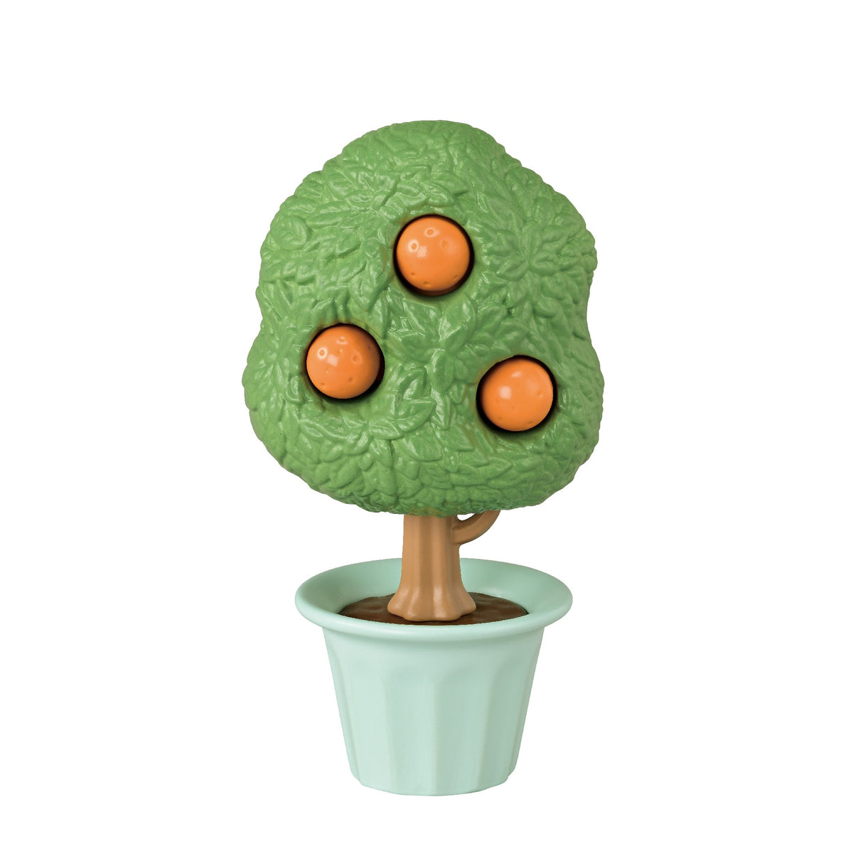 Sf - Citrus Bird Family