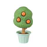 Sf - Citrus Bird Family