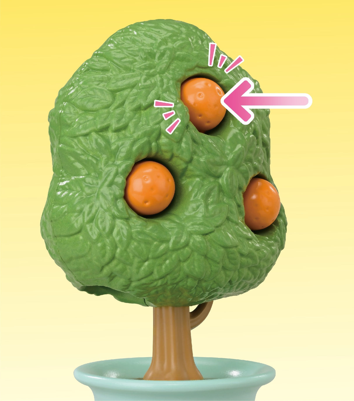 Sf - Citrus Bird Family