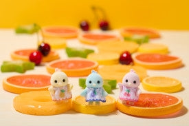 Sf - Citrus Bird Family