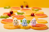 Sf - Citrus Bird Family