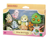 Sf - Citrus Bird Family
