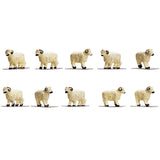 Hornby Sheep