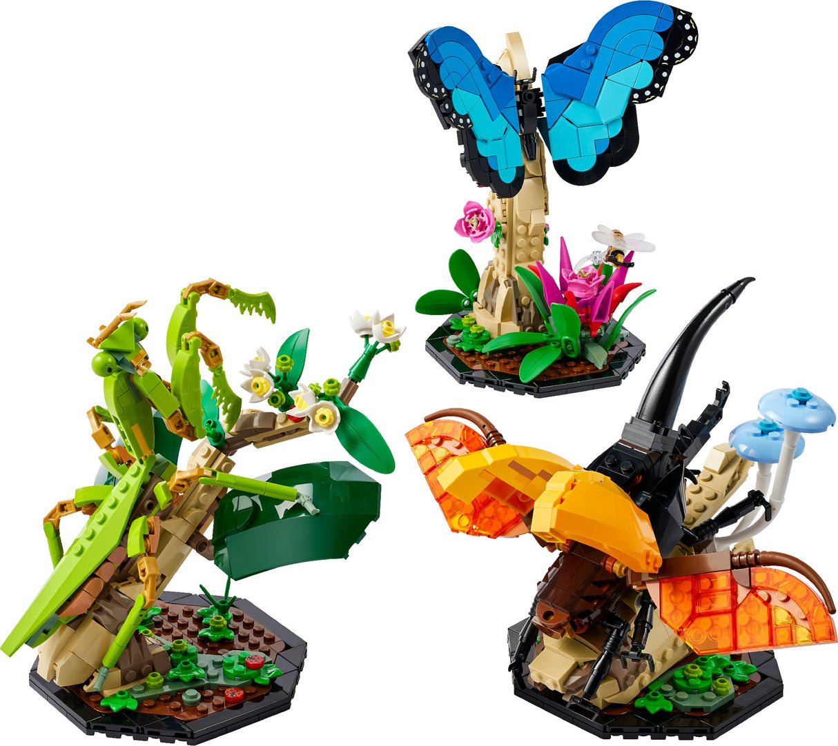 LEGO IDEAS THE INSECT COLLECTION 21342 AGE: 18+