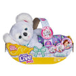 Little Live Pets Cozy Dozys Koala