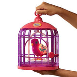 Little Live Pets Lil' Bird And Cage Tiara Twinkles