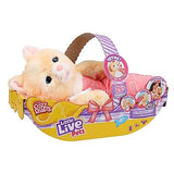 Little Live Pets Cozy Dozys S5 Ginger The Kitty