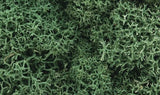Woodland Scenics Lichen - Light Green