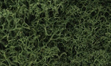Woodland Scenics Lichen - Medium Green