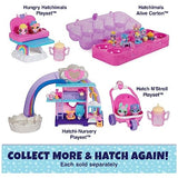Hatchimals Water Hatch Hungry Hatchimals