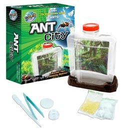 WILD SCIENCE ANT CITY