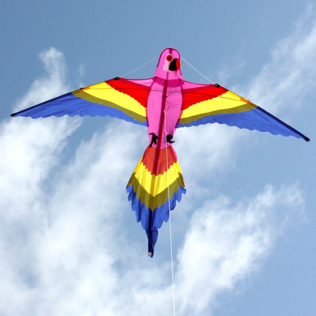 LORIKEET KITE