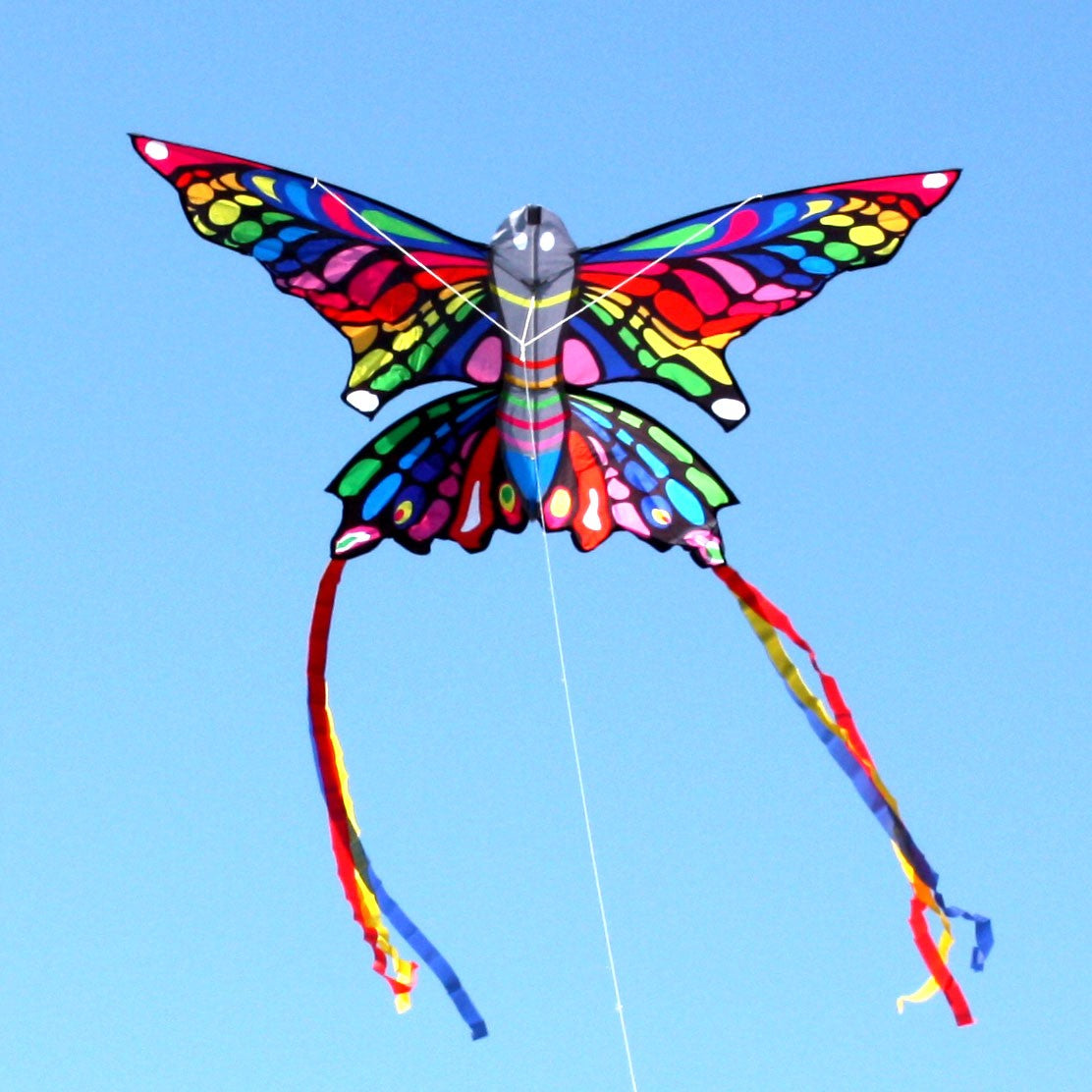 RAINBOW BUTTERFLY KITE