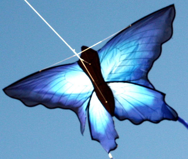 BLUE BUTTERFLY KITE