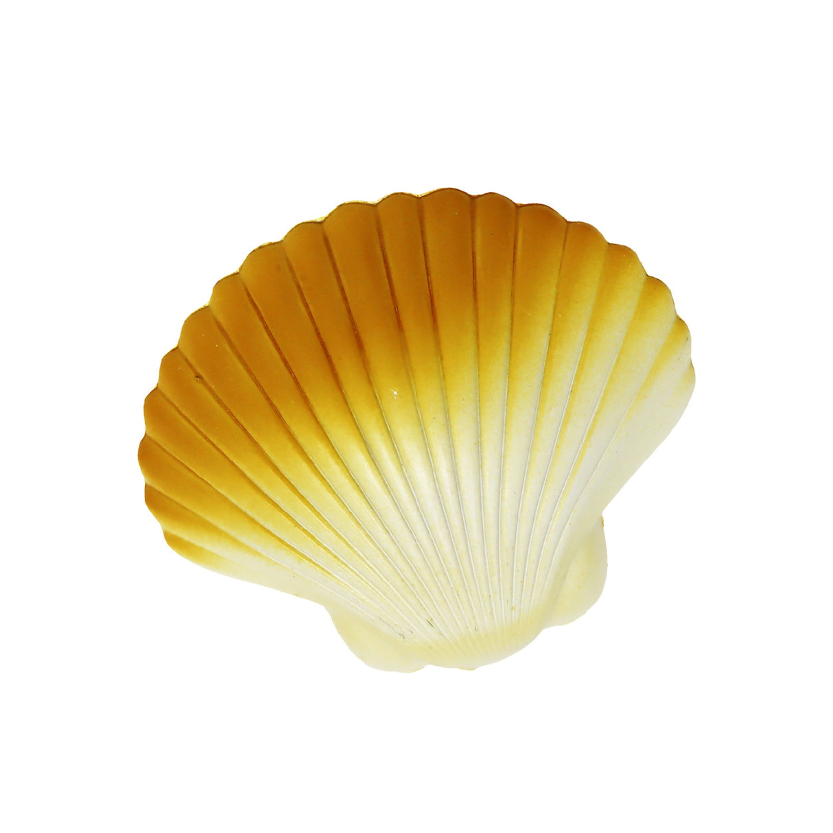Hatch Clam Shell