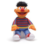 Sesame Street Ernie 24cm