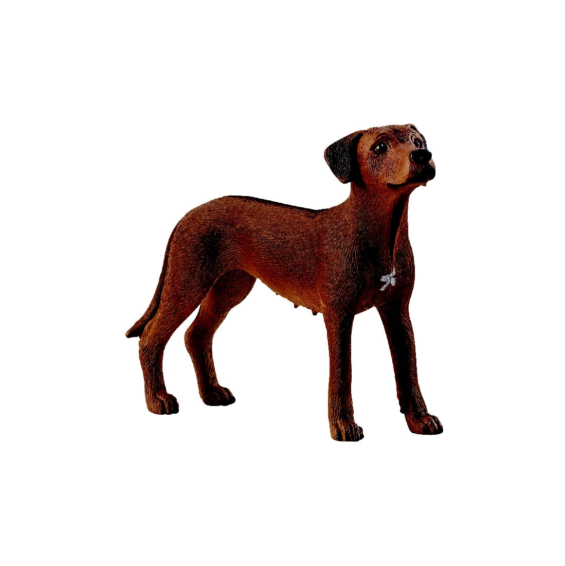 SCHLEICH - RHODESIAN RIDGEBACK