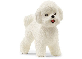 SCHLEICH - BICHON FRISE