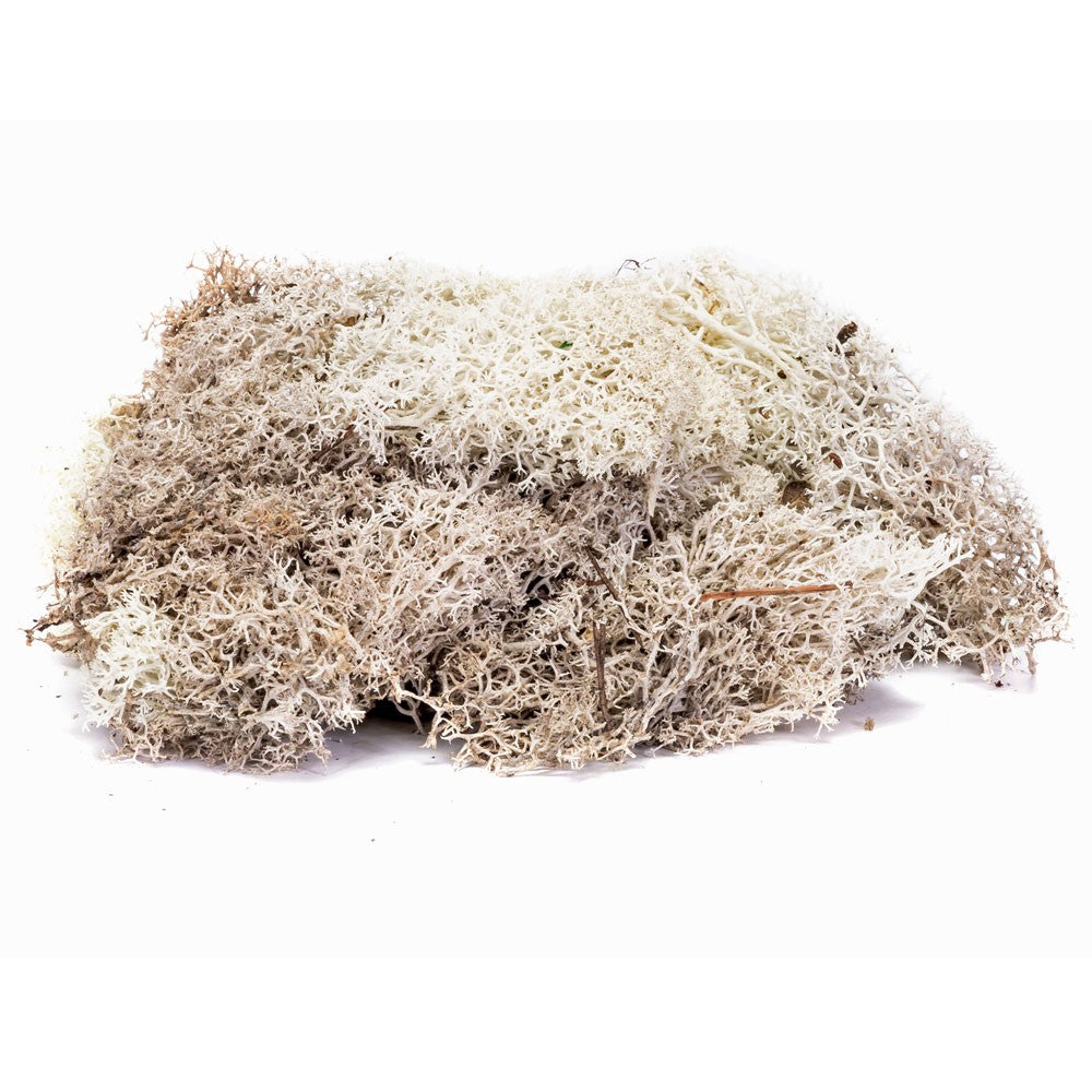 HORNBY LICHEN- STONE GREY 35G