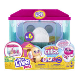 Little Live Pets Surprise Chick S4 Playset