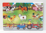 First Learning Wooden Puzzle Ast